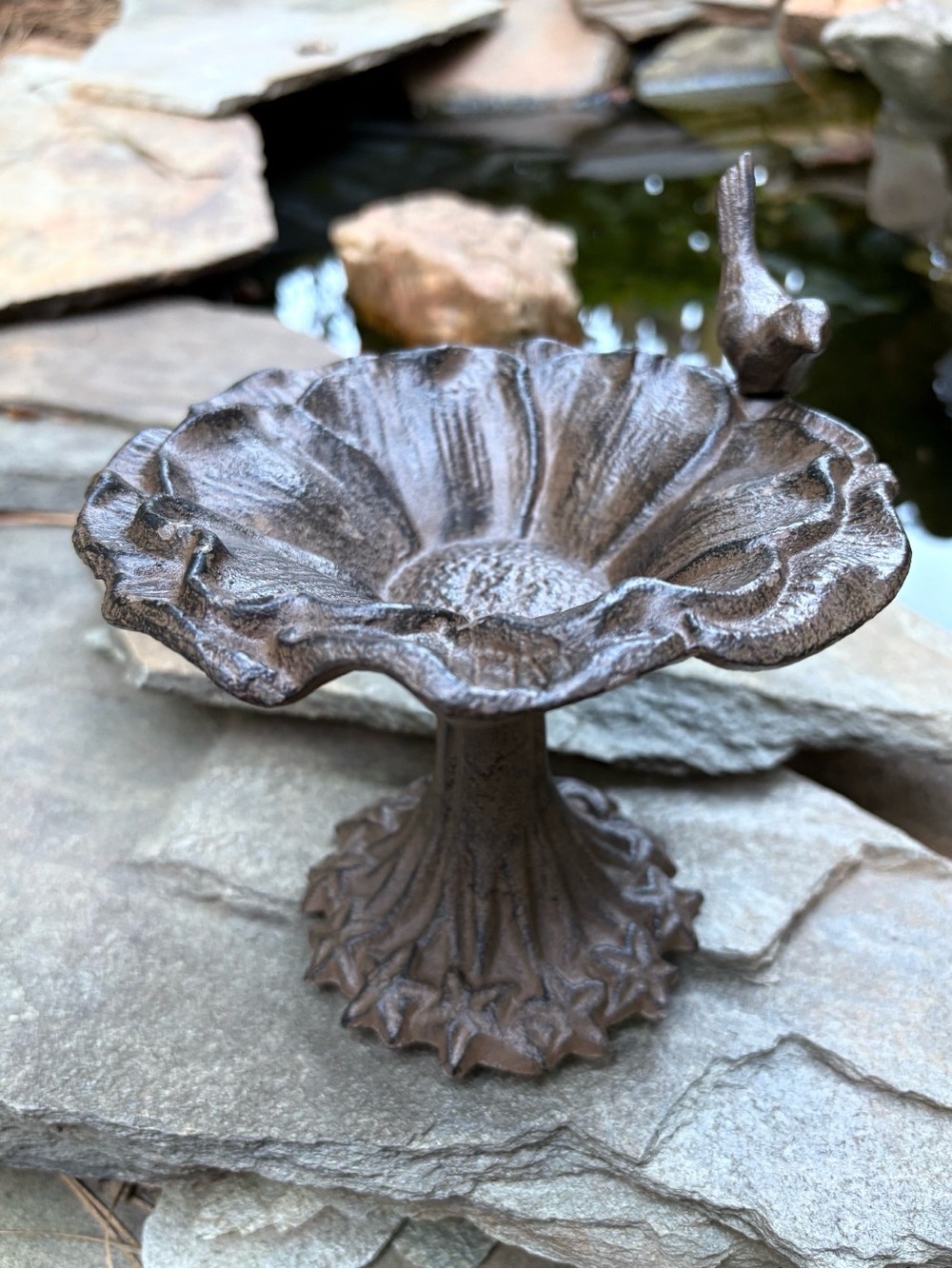 Cast Iron Decorative Bird Bath /Feeder Dish in Rustic Brown